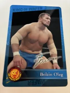 Item thumbnail for item 6e469c70-14c0-484a-a1c8-0bbce4a15e38