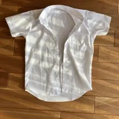 ホワイト 半袖シャツ TV118NGHT110