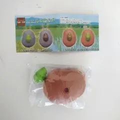 ガチャ　カエルの鳴き声 シュレーゲルアオガエル