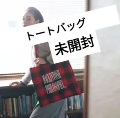 LEE付録 　大人のチェック柄BIGトート