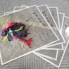 Cocco ビアトリス デカジャケ メガジャケ