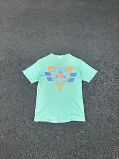 チビTシャツ90年代ヴィンテージ パタゴニア Tシャツ サーフボード
