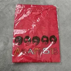 ARAFES'13 Tシャツ