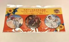 テニスの王子様 テニプリ ハッピーサマーバレンタイン 缶バッジ 丸井 木手