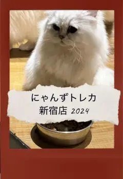 バラ売り可】にゃんずトレカ幕張店 2025 - メルカリ