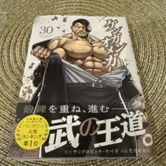 中古美品 ケンガンオメガ30巻