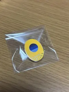 鬼滅の刃 柱展 冨岡義勇 ピンズ