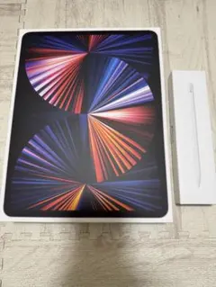 Apple iPad Pro 第5世代 12.9インチスペースグレイ　128GB