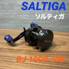 2026年最新】ソルティガbjの人気アイテム - メルカリ