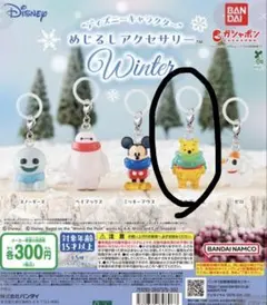 ディズニー プーさん めじるしアクセサリー Winter