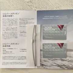 2025年最新】デルタ航空 タグの人気アイテム - メルカリ