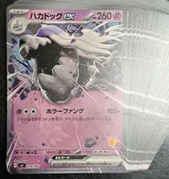 ハカドックex 30枚セット