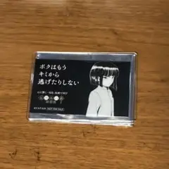 ヒカルの碁　塔矢アキラ　わなか　特典クリアカード