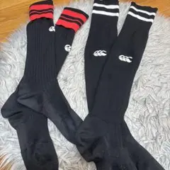 カンタベリー ソックス