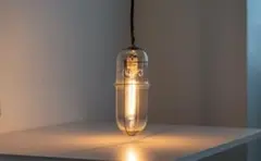 ピーターアイビー　Peter Ivy ライト　電球新品2つ付けます！ ピーターアイビー Peter Ivy ライト 電球新品2つ付けます！ ピーター