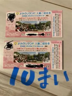 2025年最新】よみうりランドプールwaiの人気アイテム - メルカリ