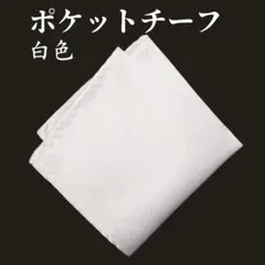 チーフ ハンカチ