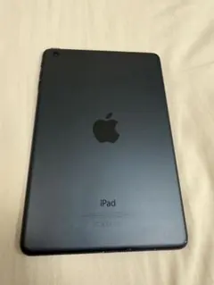 Apple iPad mini第一世代　スペースグレー 本体