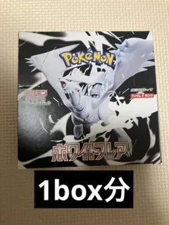 ホワイトフレア　1box分 20パック