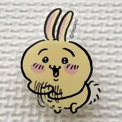カミオジャパン ちいかわ アクリル クリップ うさぎ グルグル