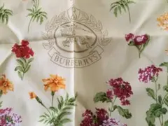 Item thumbnail for item bafa037c-64d7-4a21-9826-dc85b21e8e7d