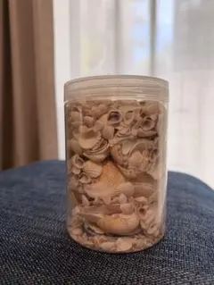 貝殻の詰め合わせ (450g)