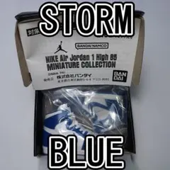 NIKE Air Jordan MINIATURE STORM BLUE　ガチャ