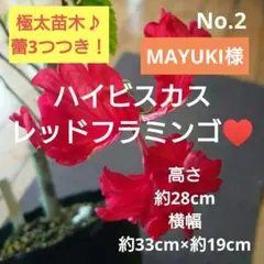 MAYUKI様 リクエスト 3点 まとめ商品