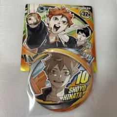 2026年最新】日向翔陽缶バッジの人気アイテム - メルカリ