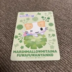 サンリオフェス サンリオキャラクター大賞 マシュマロみたいなふわふわにゃんこのサムネイル