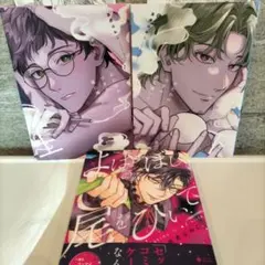 よばひぼしの尾をひいて　かたわれづきの夜に鳴いて　上・下　まとめ売り