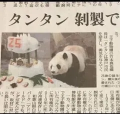 読売新聞 パンダ タンタン 剥製で返還へ 2025/6/14のサムネイル
