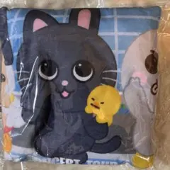 h*1様 RIIZE 東京ドーム アプグレ特典 ブランケット 1枚