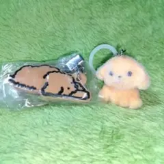 さよなら鍵迷子&もこぷわわんちゃん2点セット