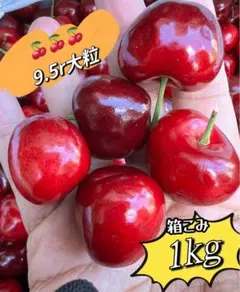 常温便‼️9.5r超大粒アメリカンチェリー箱こみ1kg 果物フルーツ　さくらんぼのサムネイル