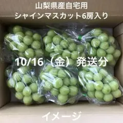 山梨県産ぶどう⭐️シャインマスカット⭐️家庭用訳あり品箱込み約5.3