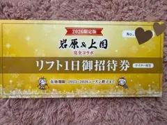 上国＆岩原　大人子供ペアスキーリフト券 上越国際\u0026岩原 上国＆岩原 大人子供ペアスキーリフト券 岩原 上