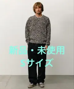 S STUSSY LEOPARD SHORT 26SS - メルカリ