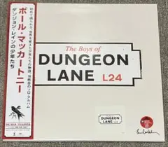 残り1枚 ポールマッカートニー ダンジョンレイン ピクチャーレコード