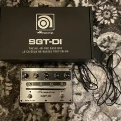 2025年最新】ampeg sgt-diの人気アイテム - メルカリ