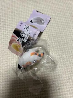 Item thumbnail for item 4d1f80fc-524f-4a4c-b2bf-4bd7670e8cc8