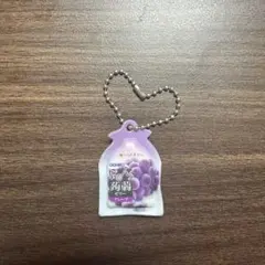 ORIHIRO ぷるんと蒟蒻ゼリー ミニチュアキーホルダー グレープ