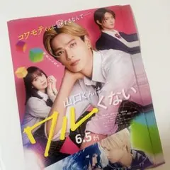 映画 『山口くんはワルくない』 高橋恭平 フライヤー 25枚セット