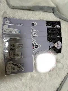 ブロマイド ステッカーKnightX 騎士X タケヤキ翔