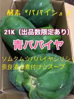 どんまい様パパイア３品種 ジャーマンアイリススプラッターマターズ他アガパンサス どんまい様パパイア3品種 ジャーマンアイリススプラッターマターズ