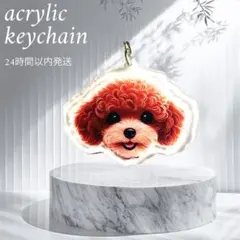 トイプードル2 キーホルダー　キーリング　トイプー　バッグチャーム　ストラップ