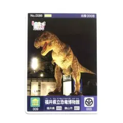 2026年最新】ロゲットカード 恐竜の人気アイテム - メルカリ