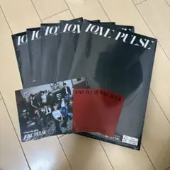 TREASURE LOVE PULSE 5枚セット