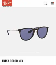 ［美品］完売品　RayBan サングラス