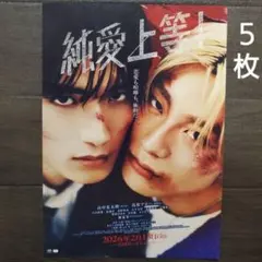 映画　純愛上等！　チラシ　フライヤー　５枚.